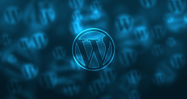 Hosting WordPress Terbaik Untuk Pemula